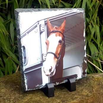 Horse Photo Slate - 14x14cm With Stand