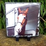 Square Horse Photo Slate Front